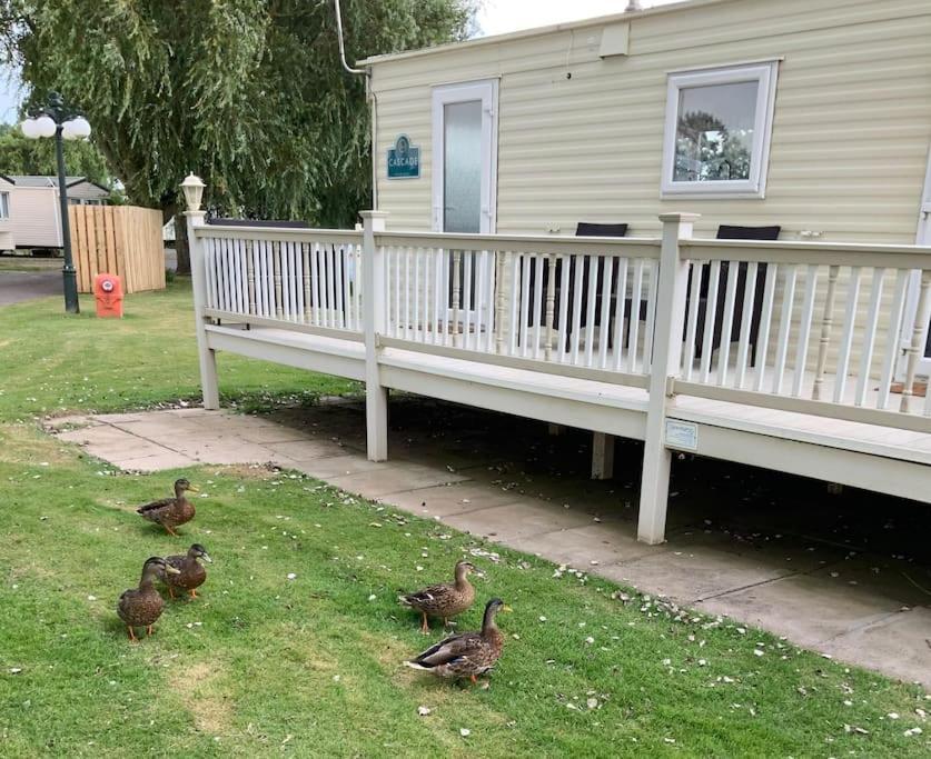 Springs Southview Skegness Apartment Winthorpe  Екстериор снимка